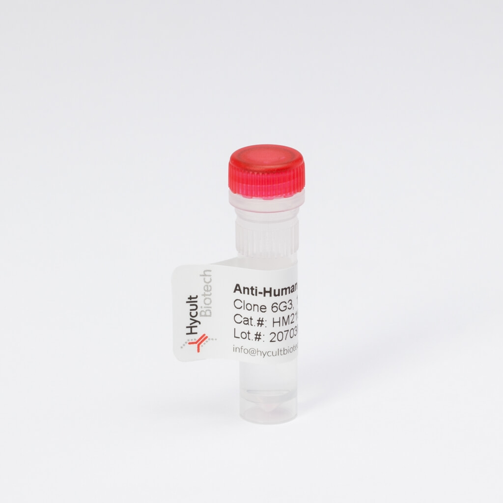 Hycult CD8, Rat Monoclonal Antibody